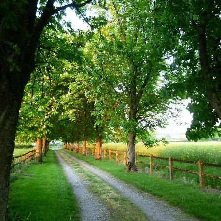 Gite Le Tremblay Thianges Buitenkant foto
